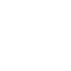 vermosa-fb-icon